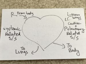 General R vs L Heart Failure Drawing